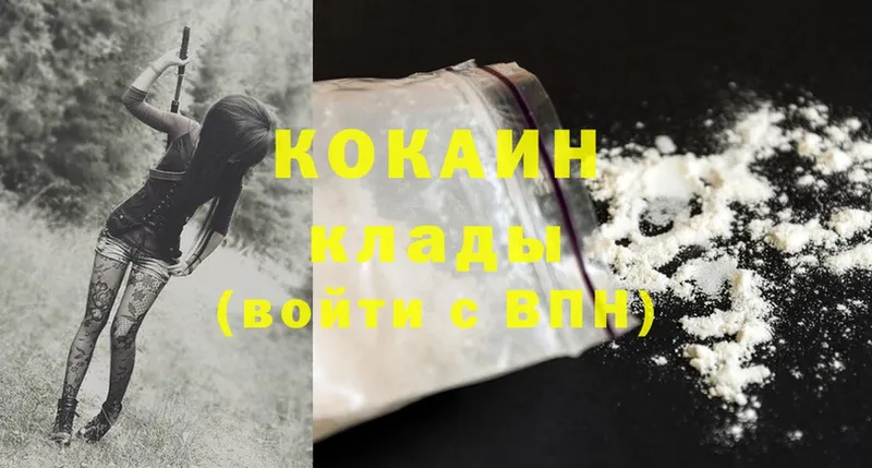 Cocaine FishScale  купить закладку  Поворино 